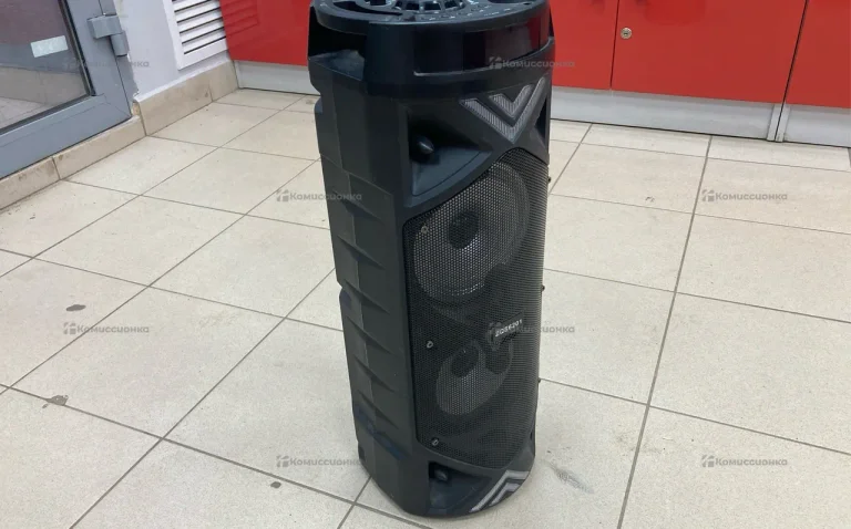 Колонка  ZQS6201