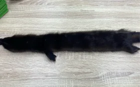 Купить Шкура норки (коричневый) б/у , в Казань Цена:1500рублей