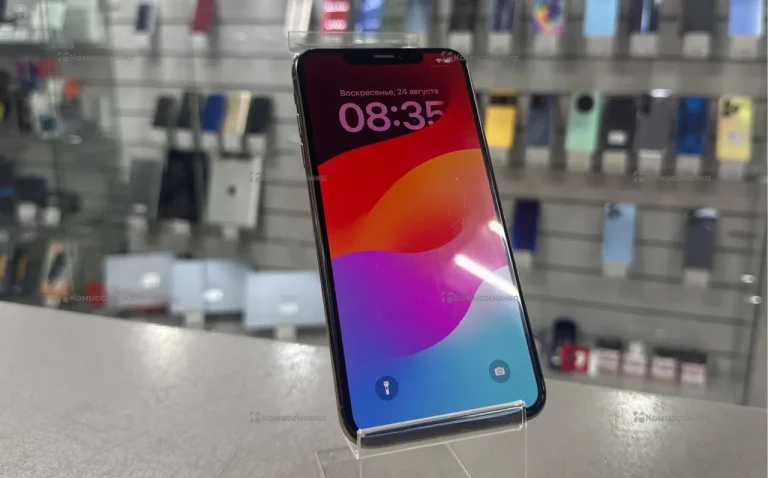 Xs max 256