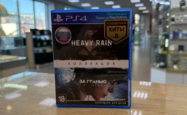 Игра для PS4 HEAVY RAIN За гранью