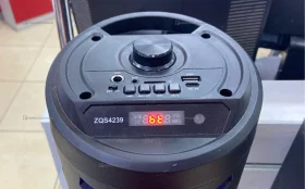 Колонка ZQS4239S