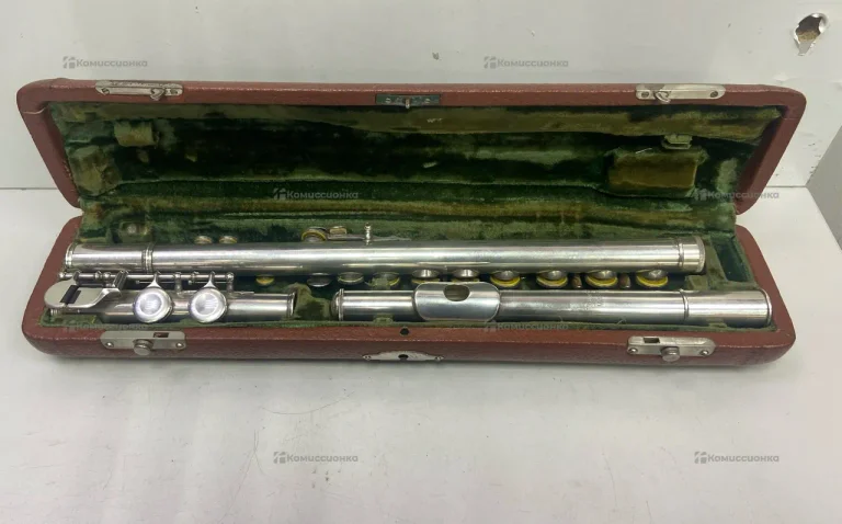 Флейта MORITZ MAX MONNIG