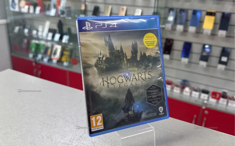 PS4. Hogwarts