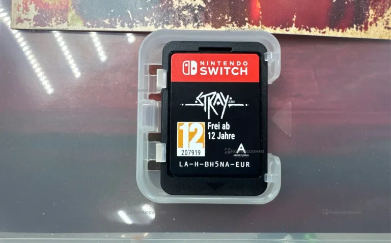 Nintendo stray