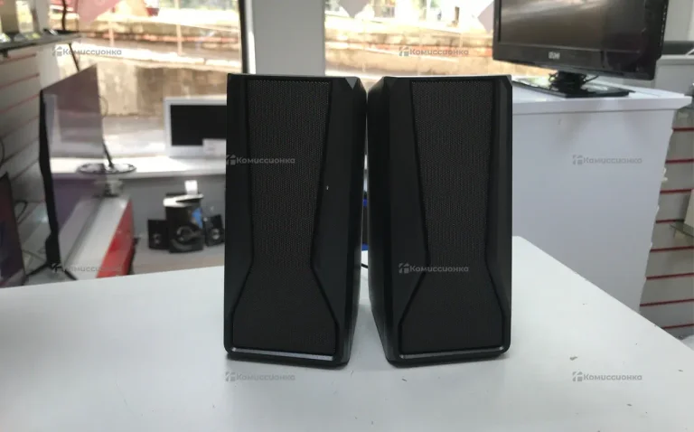 Колонки Dexp r555