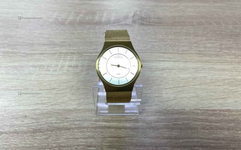 Часы Skagen 233LGG