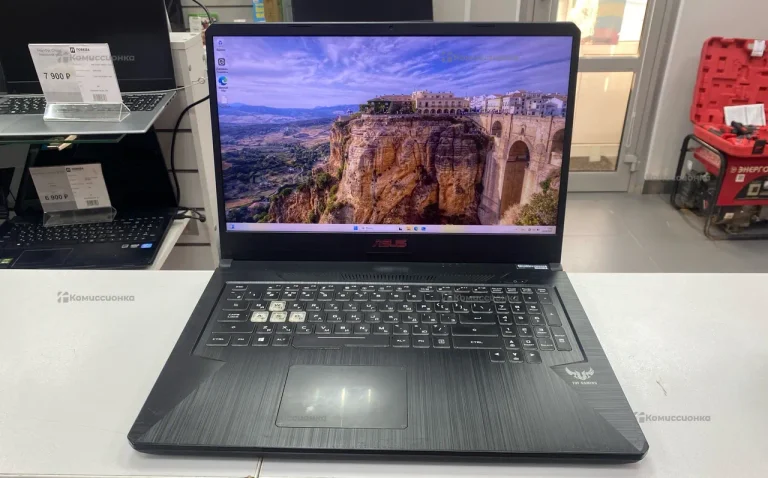 Ноутбук  ASUS FX705D