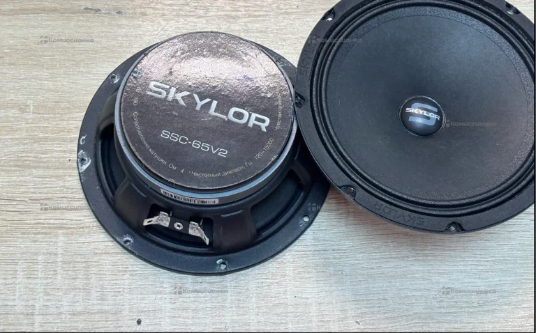 Колонка Skylor SSV-65V2