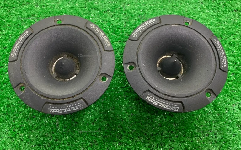 Колонки DinamicState CT-L10.1