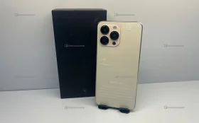 Копия 13 Pro мах