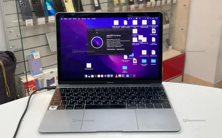 Ноутбук MacBook 12 (2017)