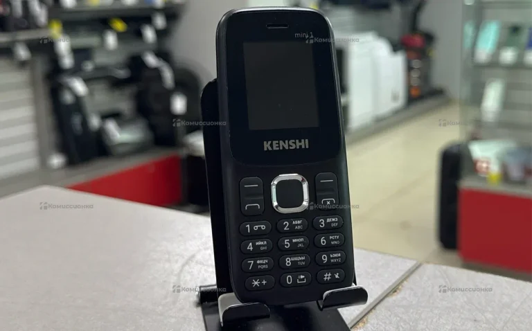 Kenshi mini 1