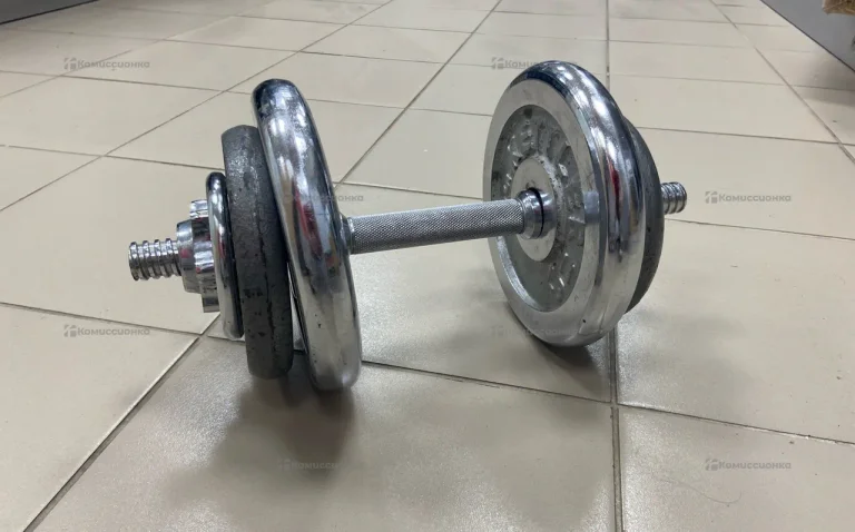 Гантель разборная с блинами 5*2 и 2,5*2