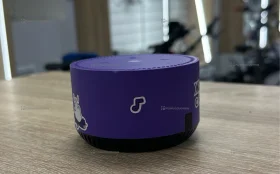 Купить Колонка Алиса Лайт б/у , в Челябинск Цена:2500рублей