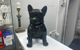 ЧЕРНАЯ СОБАКА В ОЧКАХ