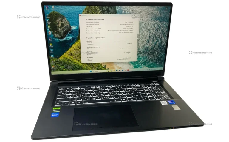 Ноутбук  Thunderobot 911 X17