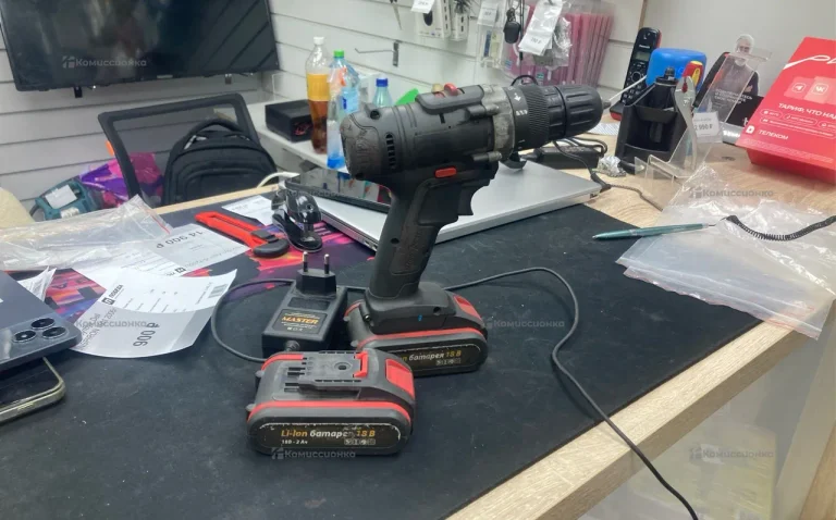 Шурик чёрный