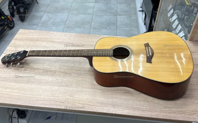 Гитара Vision