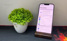 Apple iPhone 13 Pro Max 6/256 ГБ