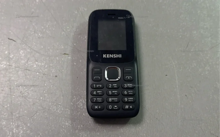 Kenshi mini 1
