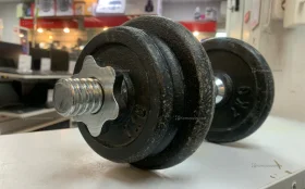 Купить Гантель стальная (12 КГ) б/у , в Санкт-Петербург Цена:1500рублей