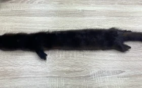 Купить Шкура норки (коричневый) б/у , в Казань Цена:1500рублей