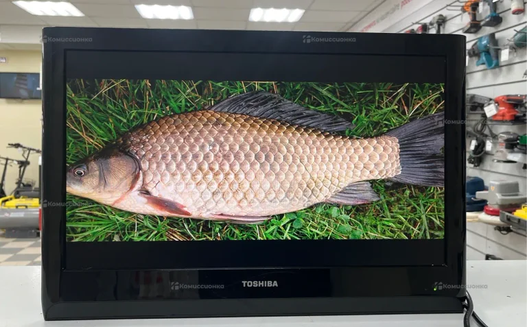 Телевизор Toshiba 22AV605P