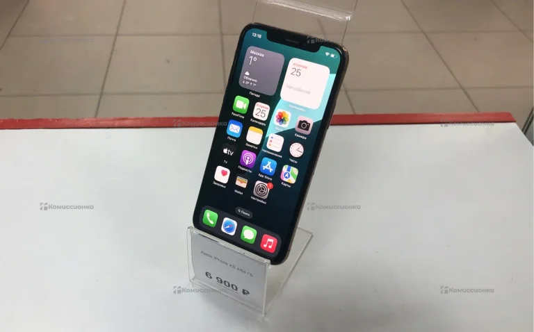 Apple iPhone XS 4/64 ГБ