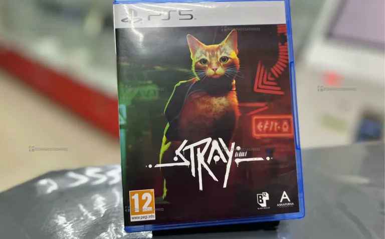ps5 stray
