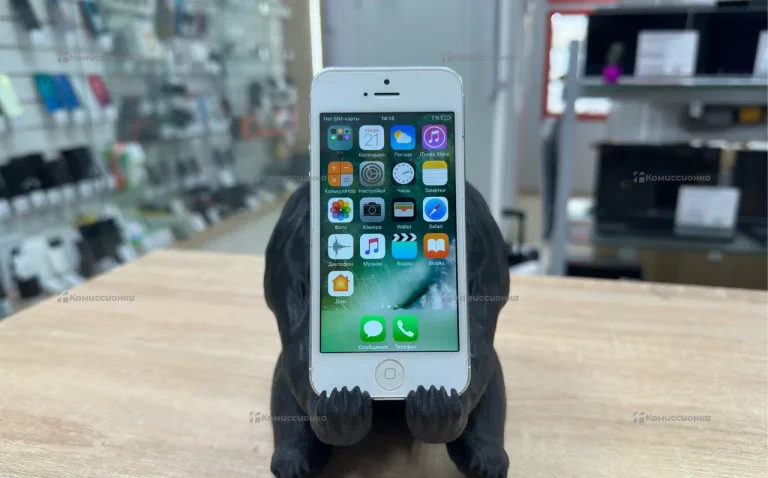 Apple iPhone 5 1/32 ГБ