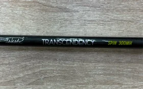Спиннинг Takedo Transcendency