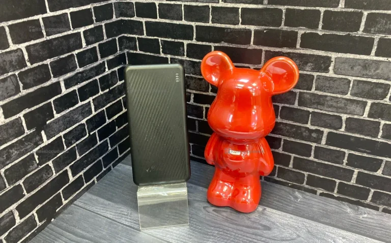 Power Bank  10000Mach