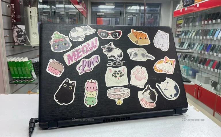 Ноутбук  Acer Aspire 3 A315-51-38LS