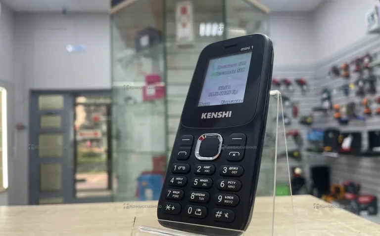 Kenshi mini 1