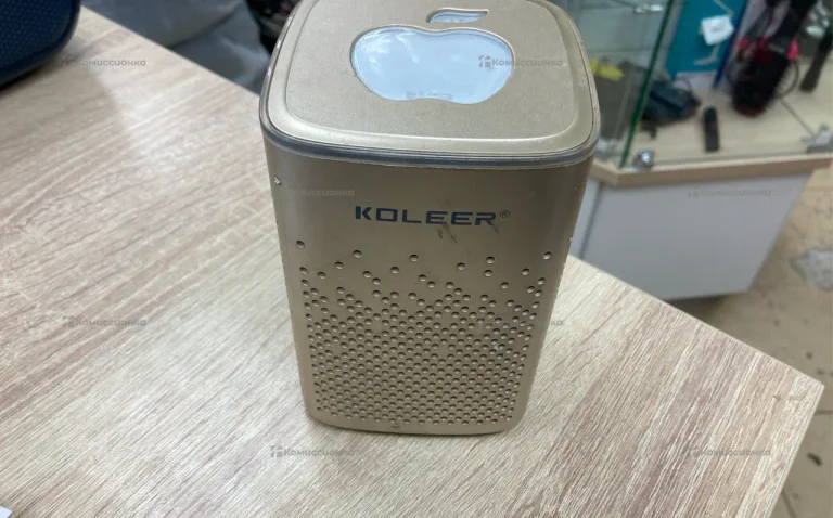 Колонка BT Koleer