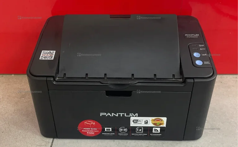 Принтер лазерный Pantum P2500