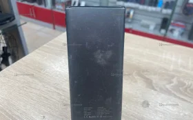 Power Bank cactus 10000