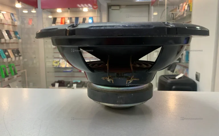 Сабвуфер Pioneer Champion Series 13