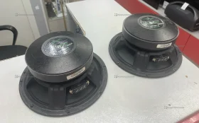 Колонка  AP-M81A