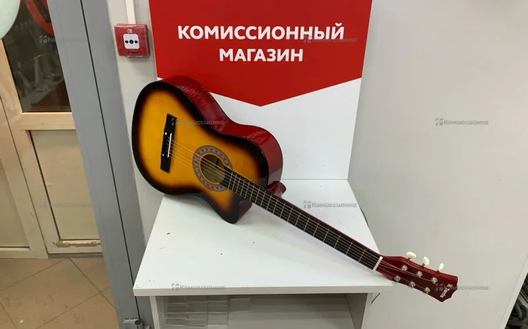 Гитара terris