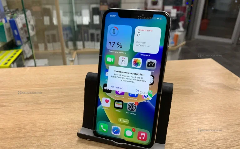 iPhone X 256gb