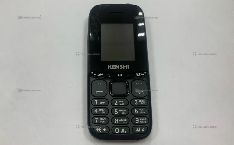Kenshi.       .