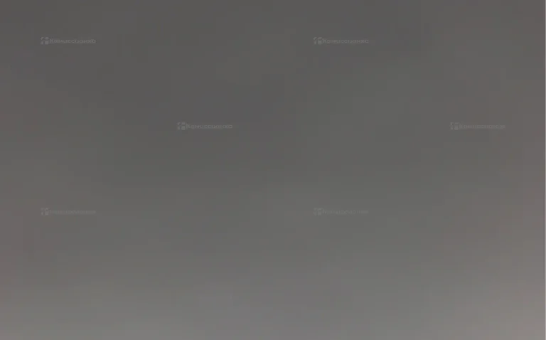 OnePlus 10R 8/256