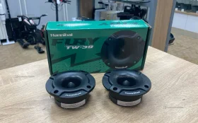 Купить Колонки Hannibal Fury TW-39 б/у , в Самара Цена:1200рублей