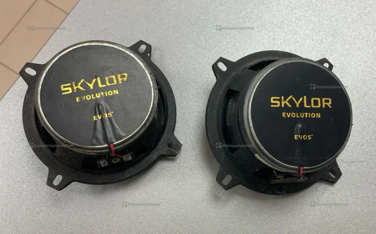 Динамики Skylor EV05