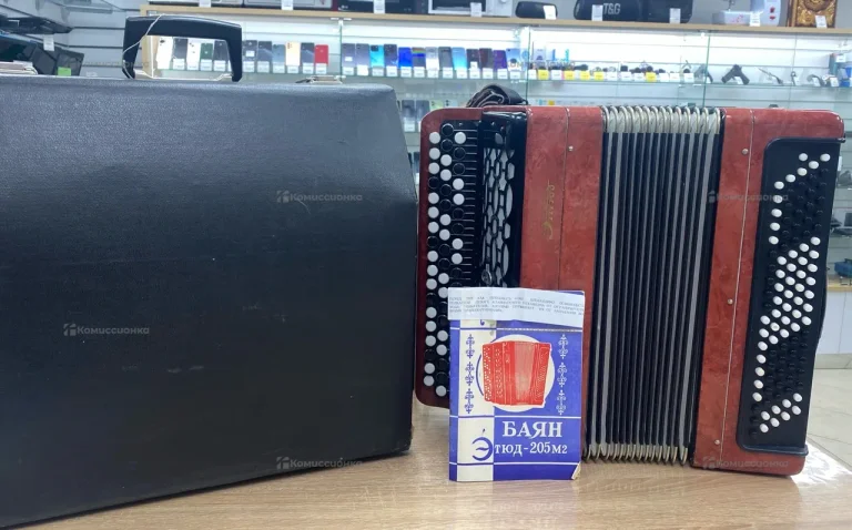 Баян этюд 205м2