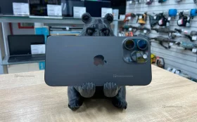 Apple iPhone 15 Pro Max 8/256 ГБ