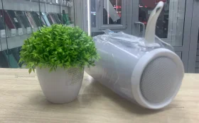 Колонка  JBL PULS5