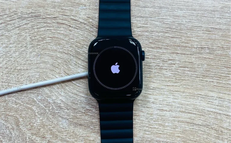 Часы  Apple Watch Series 8 45mm