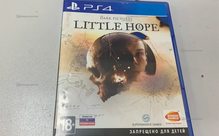 Диск PS4 Little Hope